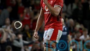 Taine Plumtree convinced Wales have &lsquo;nothing to lose&rsquo; in Springboks showdown