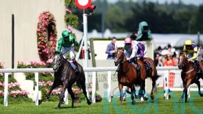 Running Lion roars to Duke Of Cambridge triumph