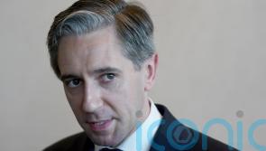 Taoiseach praises woman assaulted by soldier for &lsquo;speaking out&rsquo;