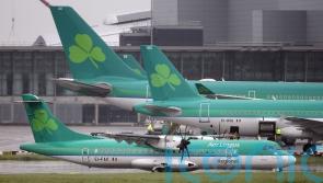Aer Lingus pilots announce eight-hour strike and accuse airline of &lsquo;antagonism&rsquo;