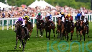 Bedtime Story produces spectacular performance in Chesham Stakes