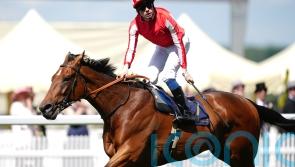 Isle Of Jura way too hot for Hardwicke rivals