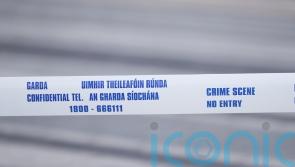 Woman dies in traffic accident in Co Carlow