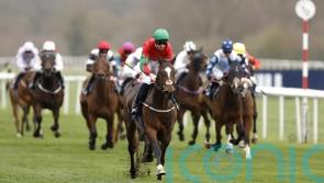 BHA says betting revenue falls in first quarter of 2024