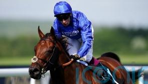 Bin Suroor confident of bright future for Wild Tiger