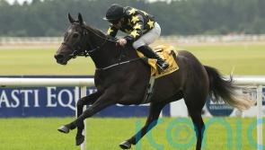 Celebration time for Murphy as Lord Massusus bounces back