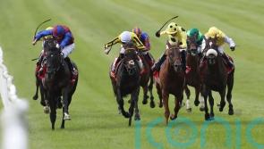 Fanshawe favouring drop in trip for gallant Ambiente Friendly