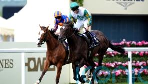 Porta Fortuna and Running Lion on course to lock horns in the Falmouth