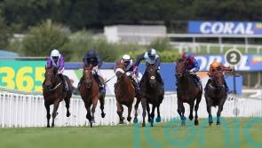 Al Riffa Arc-bound after admirable second in Coral-Eclipse
