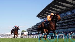 York and Deauville options for Eclipse absentee Jayarebe