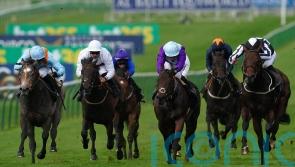 Shouldvebeenaring claims overdue victory at Deauville
