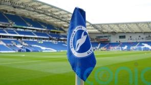 Former Australia international Dario Vidosic named new Brighton boss