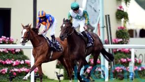 Connections &lsquo;very happy&rsquo; with Falmouth favourite Porta Fortuna