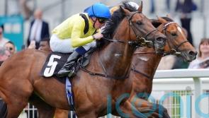 Quddwah out to make up for lost time in Summer Mile at Ascot