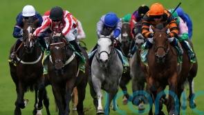 Astro King up for the Cup again and out to extend good York record