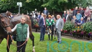 Richard Hughes targets black type with No Half Measures