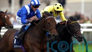 Alyanaabi and Al Aasy both set to represent Shadwell at Newbury