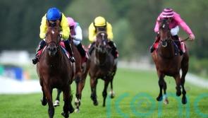 Almaqam in frame for York outing