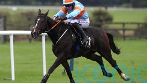 Cromwell keeping Galway options open for My Mate Mozzie