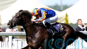 All systems go for Auguste Rodin in the King George