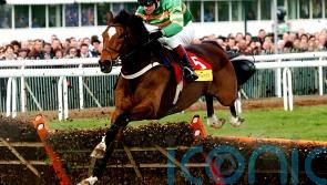 Hurdling great Istabraq dies aged 32