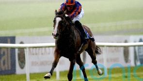 Opera Singer and Emily Upjohn on course for Nassau clash