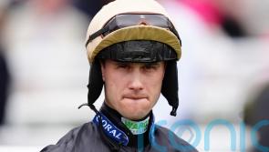 Live In The Dream given Goodwood Hart transplant