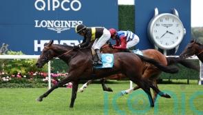 Turner follows up landmark success with Mount Atlas triumph