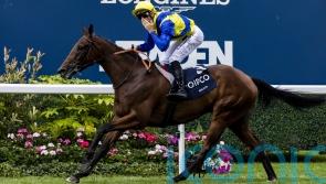 Giant performance from Goliath in King George