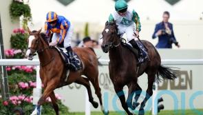 O&rsquo;Brien keen to see how Opera Singer handles 10 furlongs