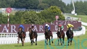 Haggas eyeing step up in trip for Maljoom