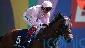 Emily Upjohn team to look for York compensation