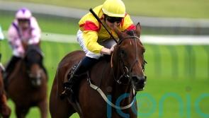 Divina Grace provides Guest with welcome boost at Newmarket