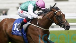 Lyons believes Babouche is good fit for Phoenix test