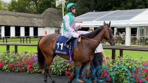 Tabiti takes the eye in Newmarket victory