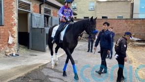 Japanese ace Durezza all set for City Of Troy clash at York