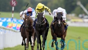 Align The Stars may take in York trip en route to St Leger