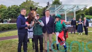 Shamida sets up return to Group One action