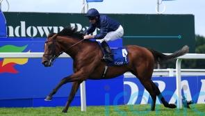 City Of Troy to face stellar line-up in Juddmonte International