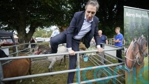 &lsquo;Offensive&rsquo; to call active farmers 'land hoarders', Taoiseach says