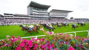 Jungle enjoys change of fortune in Ebor Festival opener