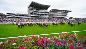 Diligently does it for Clive Cox again in big sales race