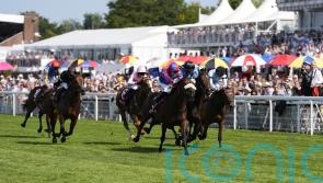 Big Evs and Asfoora all set for &lsquo;grand final&rsquo; in Nunthorpe