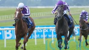 Bedtime Story delivers in Debutante to extend perfect record