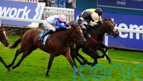 Alfa Kellenic plans currently up in the air