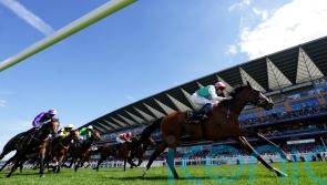 Juddmonte suffer loss of leading mare Laurel