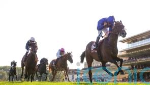 Moon rising ahead of Grosser Preis von Baden bid