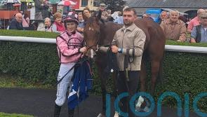 She&rsquo;s Quality proves well-named in Abergwaun Stakes