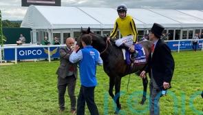 Soumillon to partner Ambiente Friendly in Prix Niel