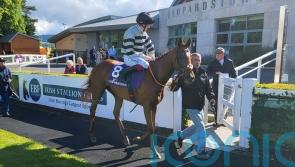 McCreery may be double-handed in search for second Matron win